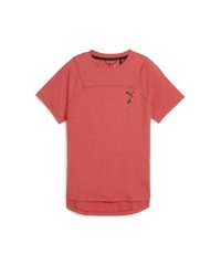 PUMA/ウィメンズ ランニング シーズンズ ウール 半袖 Tシャツ/506054702