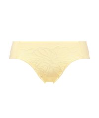 Triumph/神わざブラ604 レギュラーショーツ　イエロー(M～L)/506057927