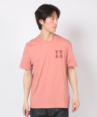 TOMMY HILFIGER/ブークレHエンブロイドTシャツ/506066145