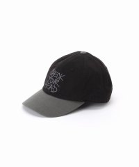 JOURNAL STANDARD/《予約》BEASTIE BOYS / ビースティ・ボーイズ 別注 TWO TONE CAP/506080505