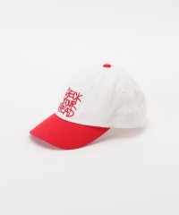 JOURNAL STANDARD/BEASTIE BOYS / ビースティ・ボーイズ 別注 TWO TONE CAP/506080505