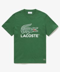 LACOSTE Mens/ワニロゴグラフィックプリントTシャツ/505909834