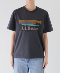 SLOBE IENA/L.L.BEAN/エルエルビーン GARMENT DYE TEE 4275－6164/506083580