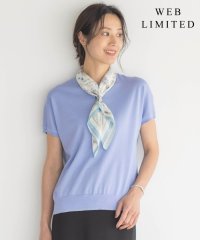 J.PRESS LADIES（LARGE SIZE）/【WEB限定・洗える】Vis/Peスパーク ラメ配色 ニット/506096075