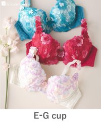 fran de lingerie/バストメイクの真骨頂可憐な花びら刺繍 「グレースイストフラワーペタル ブラジャー（ワイヤー有り）」 ブラジャー/506096839