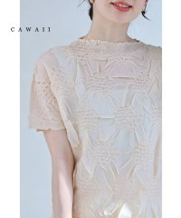 CAWAII/浮かび上がる紫陽花のシアーベールカットソートップス/506099182