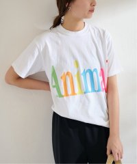 FRAMeWORK/≪予約≫STUDIO WEAREALLANIMALS Animals Letter Tシャツ/506101640