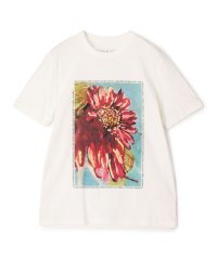 TOMORROWLAND GOODS/LISA KING コットン ショートスリーブプルオーバー/506103457