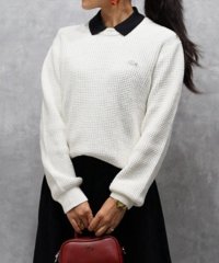 LACOSTE Mens/ラコステ LACOSTE ヘザーカラーリングワッフルニット/505505479