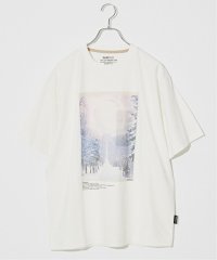 B.C STOCK/《予約》OLIVEDRAB ICE PHOTO Tシャツ/506103895