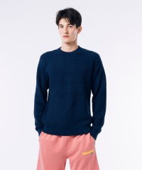 LACOSTE Mens/ラコステ LACOSTE バスケットニットクルーネックセーター/506103947