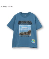 D.FIT/BIG Tシャツ/506102210