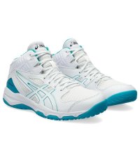 ASICS/DUNKSHOT MB 9/506109710