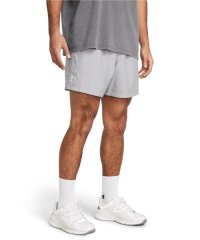 UNDER ARMOUR/UA Woven Volley Short/506109810