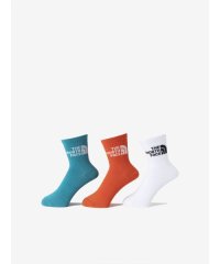 THE NORTH FACE/ザ・ノース・フェイス THE NORTH FACE TNF Jacquard Logo 3P Crew (TNF ジャカード ロゴ 3P クルー)【返品不可商品/506111836