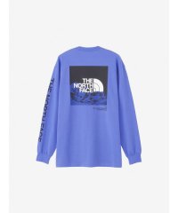 THE NORTH FACE/L/S Sleeve Graphic Tee (ロングスリーブスリーブグラフィックティー)/506111975