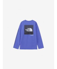 THE NORTH FACE/L/S Sleeve Graphic Tee (ロングスリーブスリーブグラフィックティー)/506112070
