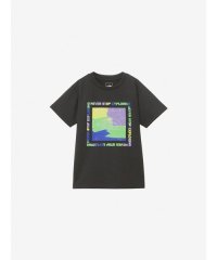 THE NORTH FACE/S/S Getmoted Graphic Tee (キッズ ショートスリーブゲットモテッドグラフィックティー)/506112088