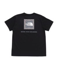 THE NORTH FACE/S/S Bandana Square Logo Tee (ショートスリーブバンダナスクエアロゴティー)/506112113