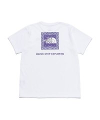 THE NORTH FACE/S/S Bandana Square Logo Tee (ショートスリーブバンダナスクエアロゴティー)/506112113