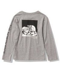THE NORTH FACE/L/S Sleeve Graphic Tee (ロングスリーブスリーブグラフィックティー)/506116995