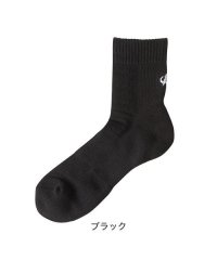 phiten/ファイテン Phiten スポーツソックス（2足セット） セミロング/506118363