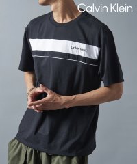 Calvin Klein/【Calvin Klein / カルバンクライン】フロントロゴ プリント Tシャツ 40QC425/505985989