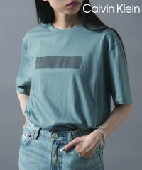 Calvin Klein/【Calvin Klein / カルバンクライン】フロントロゴ プリント Tシャツ 半袖 クルーネック 40QM853/505985991