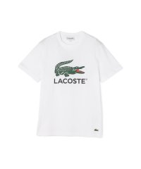 SHIPS any MEN/LACOSTE: ビッグ ロゴ プリント Tシャツ TH6396/506124068