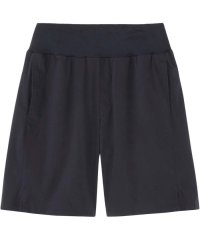 THE NORTH FACE/ザ・ノース・フェイス THE NORTH FACE THE NORTH FACE ノースフェイス アウトドア エイペックスライトショーツ メンズ Ape/506124701
