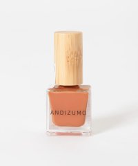 URBAN RESEARCH/ANDIZUMO　ネイルカラーAKEBONO23/506266517