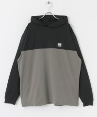 URBAN RESEARCH Sonny Label/『吸収速乾/UVカット機能』REEF　バイカラーラッシュフーディ/506266591