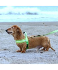 hakusan/hakusan ハクサン リード 犬 クッション ショート 小型犬 中型犬 大型犬 ハンドル付 ベーシック シングル アロハメッシュクッションリード/506273975