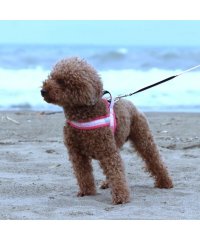 hakusan/ハクサン Hakusan hakusan ハクサン リード 犬 クッション ショート 小型犬 中型犬 大型犬 ハンドル付 ベーシック シングル アロハメッシュク/506273975