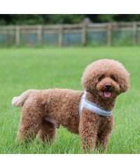 hakusan/ハクサン Hakusan hakusan ハクサン 犬 ハーネス ベルト 小型犬 中型犬 大型犬 持ちやすい ベーシック シングル ジャストフィットドラゴンハー/506273977