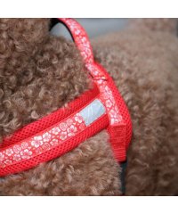 hakusan/ハクサン Hakusan hakusan ハクサン 犬 ハーネス ベルト 小型犬 中型犬 大型犬 持ちやすい ベーシック シングル ジャストフィットドラゴンハー/506273977