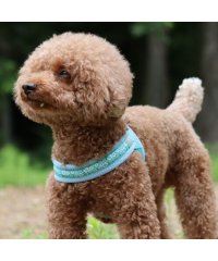 hakusan/ハクサン Hakusan hakusan ハクサン 犬 ハーネス ベルト 小型犬 中型犬 大型犬 持ちやすい ベーシック シングル ジャストフィットドラゴンハー/506273977