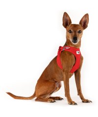 Curli/Curli カーリー ハーネス エアメッシュ ベスト クラスプ M－XL 中型犬対応 胴輪 歩行補助 CLASP VEST AIR MESH HARNESS/506319385