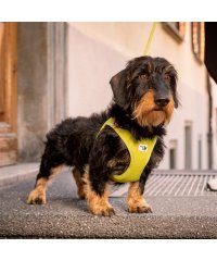 Curli/Curli カーリー ハーネス エアメッシュ ベスト クラスプ M－XL 中型犬対応 胴輪 歩行補助 CLASP VEST AIR MESH HARNESS/506319385