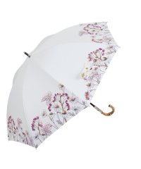 JILL STUART/ジル スチュアート JILL STUART 日傘 長傘 晴雨兼用 軽量 レディース 50cm UVカット 遮熱 1JI 23064/506321590
