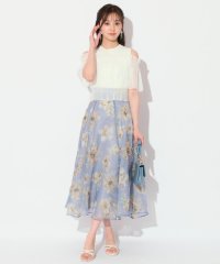 WILLSELECTION/刺繍フラワーフレアスカート/506330982