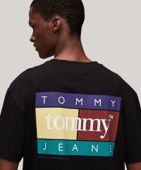 TOMMY JEANS/トミージーンズ TOMMY JEANS TJM REG POP COLOR FLAG TEE EXT/506298714