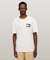 TOMMY JEANS/トミージーンズ TOMMY JEANS TJM REG POP COLOR FLAG TEE EXT/506298714