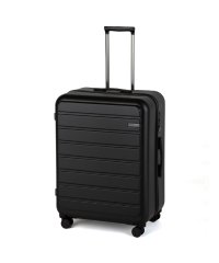 ACE/エース ACE 新商品/エース/ACE/フレットボード/スーツケース/100L【KW】【aceー05434】 【▲】/506353870