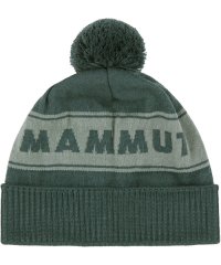 MAMMUT/マムート MAMMUT MAMMUT マムート アウトドア ビーニー Peaks Beanie 119101100/505957647