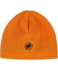 MAMMUT/マムート MAMMUT MAMMUT マムート アウトドア Sublime Beanie 1191ー01542 ニット帽 ビーニー 保温 防/505957649