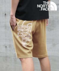 THE NORTH FACE/ザ・ノース・フェイス THE NORTH FACE 【THE NORTH FACE / ザ・ノースフェイス】GRAPHIC SHORT LIGHT ハーフパンツ/506054661