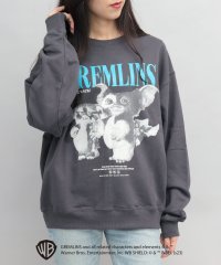 AMS SELECT/エーエムエスセレクト A.M.S.select スウェット メンズ GREMRINS グレムリン ギズモ フォトプリント 裏パイル/506445531