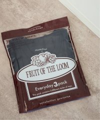 FRAMeWORK/FRUIT OF THE LOOM 別注EVERY DAY 3PACK/506461393