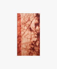 agnes b. FEMME/AB33 SERVIETTE ビーチタオル/506444713